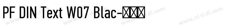 PF DIN Text W07 Blac字体转换 PF DIN Text W07 Blac字体转换